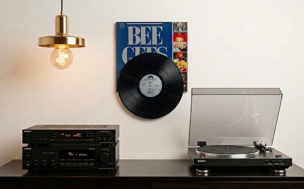 The Vinyl Holder
